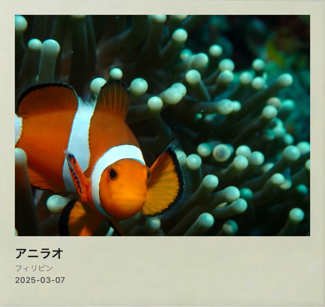図鑑カードのサンプル(ダイビングスポットカード)